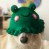 Gorrito Ranita