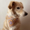 Pañoleta Mascota