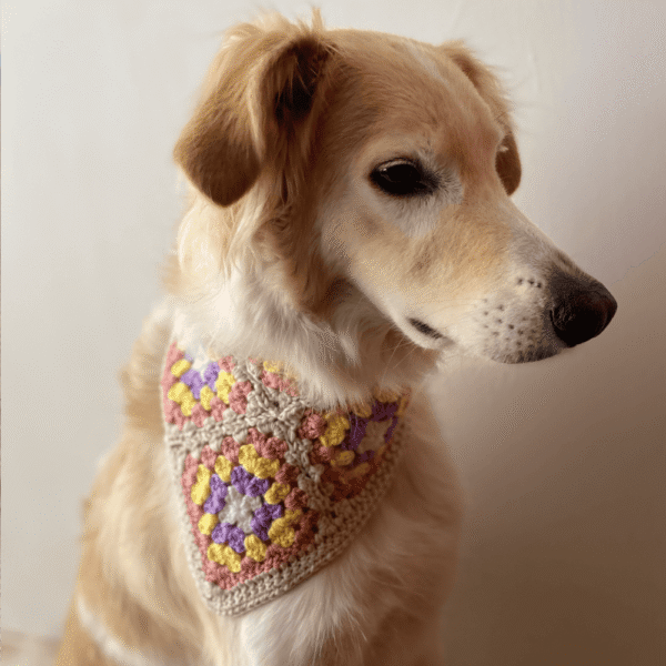 Pañoleta Mascota